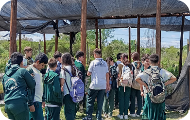 Reunión o Taller de trabajo