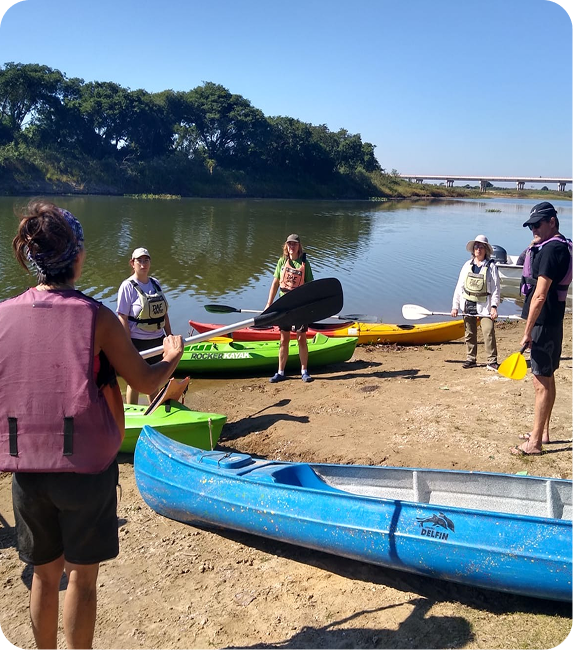 Vista aérea del bosque